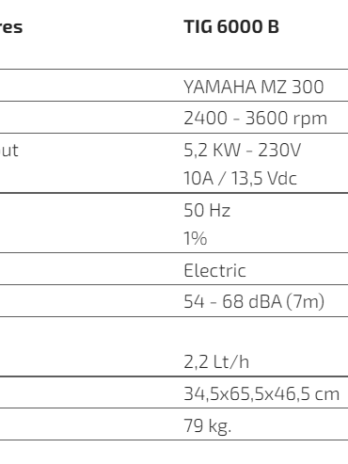 TIG 6000 B – Generator cu invertor de 230 V (Benzină)
