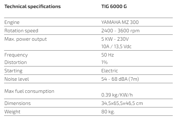 TIG 6000 G – Generator cu invertor de 230 V (Gaz) - imagine 2